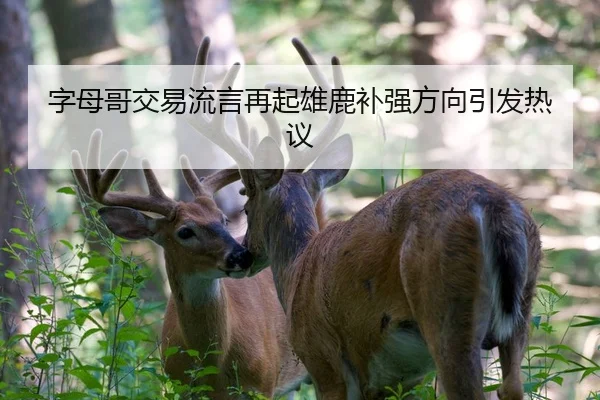 字母哥交易流言再起雄鹿补强方向引发热议
